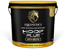 ip_recommend_calming