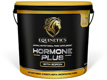 ip_recommend_calming