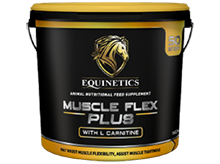 ip_recommend_calming