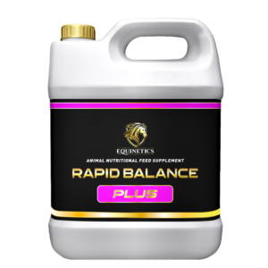 Rapid Balance Plus